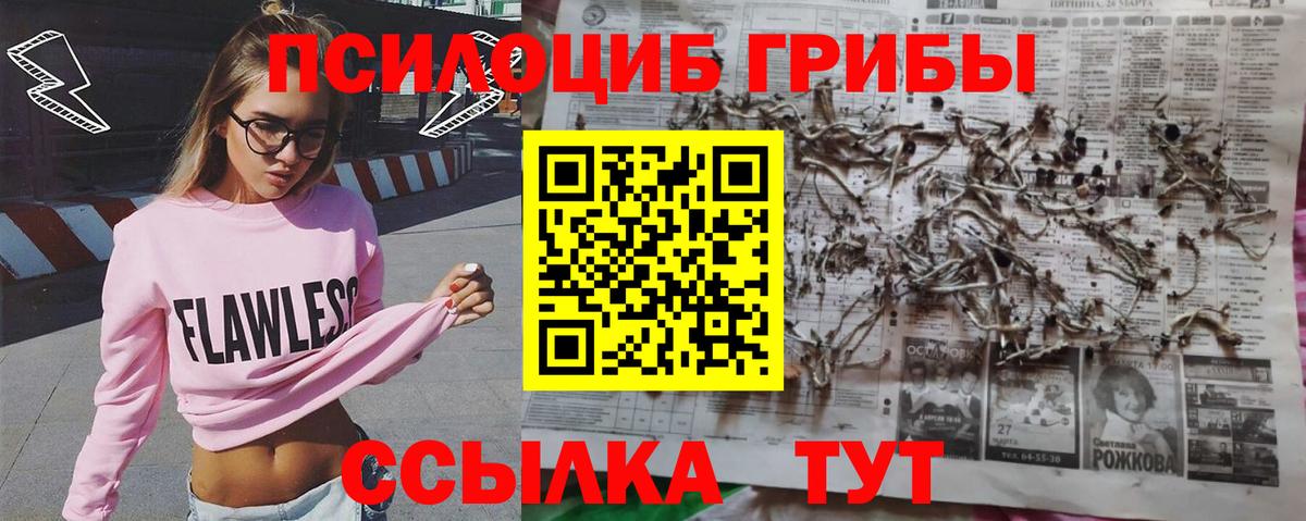 Псилоцибиновые грибы Psilocybine cubensis Кириши